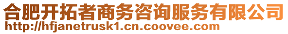 合肥開拓者商務咨詢服務有限公司