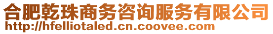 合肥乾珠商務(wù)咨詢服務(wù)有限公司