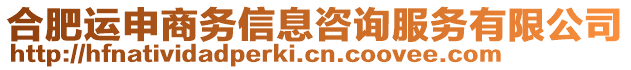 合肥運(yùn)申商務(wù)信息咨詢服務(wù)有限公司