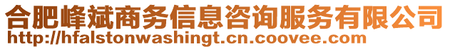 合肥峰斌商務(wù)信息咨詢服務(wù)有限公司