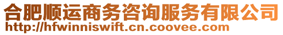 合肥順運商務(wù)咨詢服務(wù)有限公司