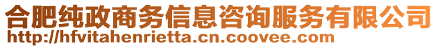 合肥純政商務(wù)信息咨詢服務(wù)有限公司