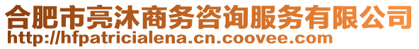 合肥市亮沐商務(wù)咨詢服務(wù)有限公司