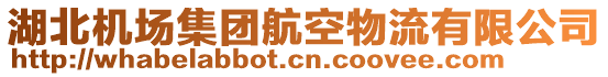 湖北機(jī)場(chǎng)集團(tuán)航空物流有限公司