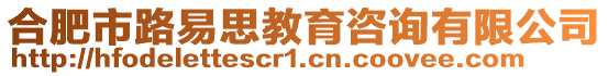 合肥市路易思教育咨詢有限公司