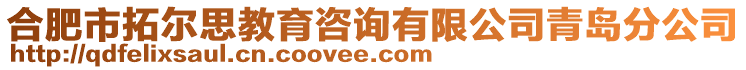 合肥市拓爾思教育咨詢有限公司青島分公司