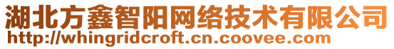 湖北方鑫智陽網(wǎng)絡(luò)技術(shù)有限公司