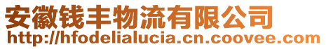 安徽錢豐物流有限公司