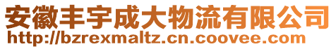 安徽豐宇成大物流有限公司