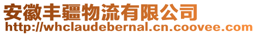 安徽豐疆物流有限公司