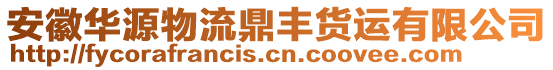 安徽華源物流鼎豐貨運有限公司