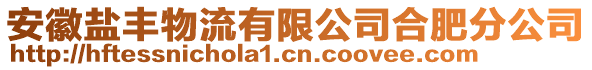 安徽鹽豐物流有限公司合肥分公司