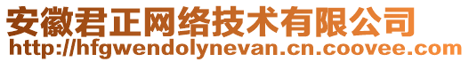 安徽君正網(wǎng)絡(luò)技術(shù)有限公司