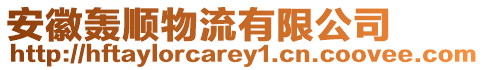 安徽轟順物流有限公司