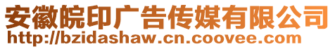 安徽皖印广告传媒有限公司