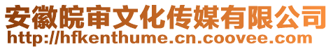 安徽皖审文化传媒有限公司