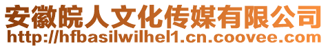 安徽皖人文化傳媒有限公司