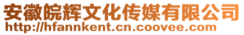 安徽皖輝文化傳媒有限公司