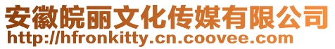 安徽皖麗文化傳媒有限公司