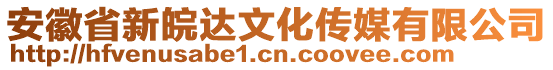 安徽省新皖達文化傳媒有限公司