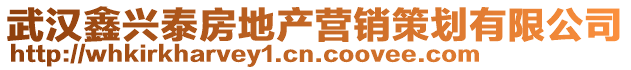 武漢鑫興泰房地產營銷策劃有限公司