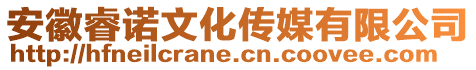 安徽睿諾文化傳媒有限公司