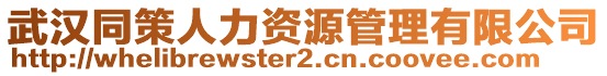 武漢同策人力資源管理有限公司