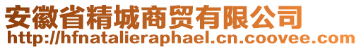 安徽省精城商貿有限公司