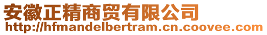 安徽正精商貿(mào)有限公司