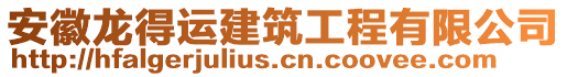 安徽龍得運建筑工程有限公司