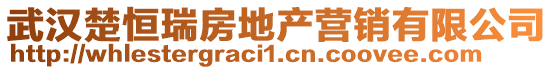 武漢楚恒瑞房地產(chǎn)營(yíng)銷有限公司