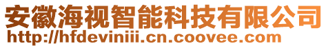 安徽海視智能科技有限公司