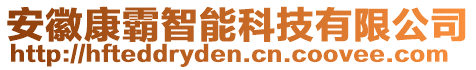 安徽康霸智能科技有限公司