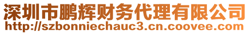 深圳市鵬輝財務代理有限公司