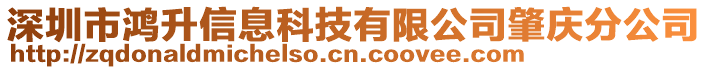 深圳市鴻升信息科技有限公司肇慶分公司