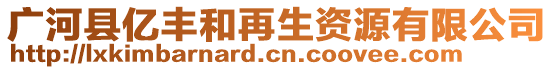 廣河縣億豐和再生資源有限公司