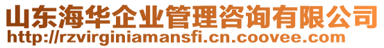 山東海華企業(yè)管理咨詢有限公司