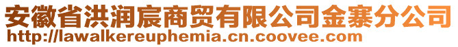 安徽省洪潤宸商貿(mào)有限公司金寨分公司