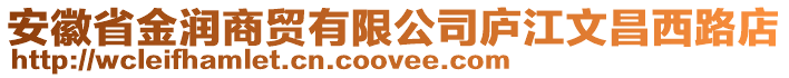 安徽省金潤(rùn)商貿(mào)有限公司廬江文昌西路店