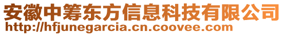 安徽中籌東方信息科技有限公司