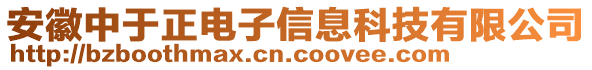 安徽中于正電子信息科技有限公司