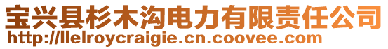 寶興縣杉木溝電力有限責(zé)任公司