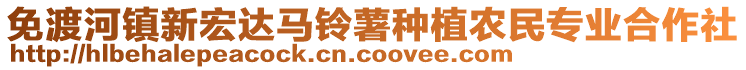 免渡河鎮新宏達馬鈴薯種植農民專業合作社