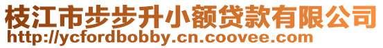 枝江市步步升小額貸款有限公司