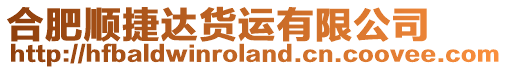 合肥順捷達(dá)貨運(yùn)有限公司