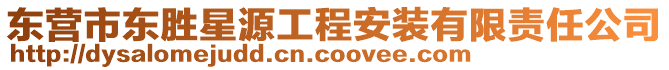東營市東勝星源工程安裝有限責任公司