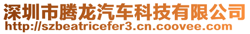 深圳市騰龍汽車科技有限公司