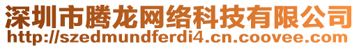 深圳市騰龍網(wǎng)絡(luò)科技有限公司