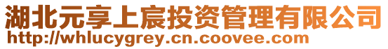 湖北元享上宸投資管理有限公司