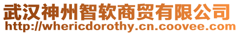 武漢神州智軟商貿(mào)有限公司